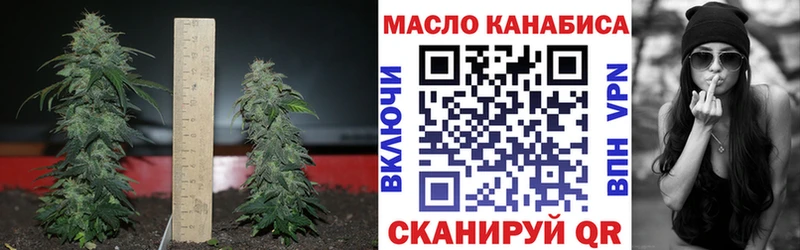 гидра как зайти Черкесск площадка телеграм цены ТГК вейп