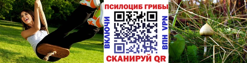 Галлюциногенные грибы мухоморы  купить наркотики сайты  Черкесск 